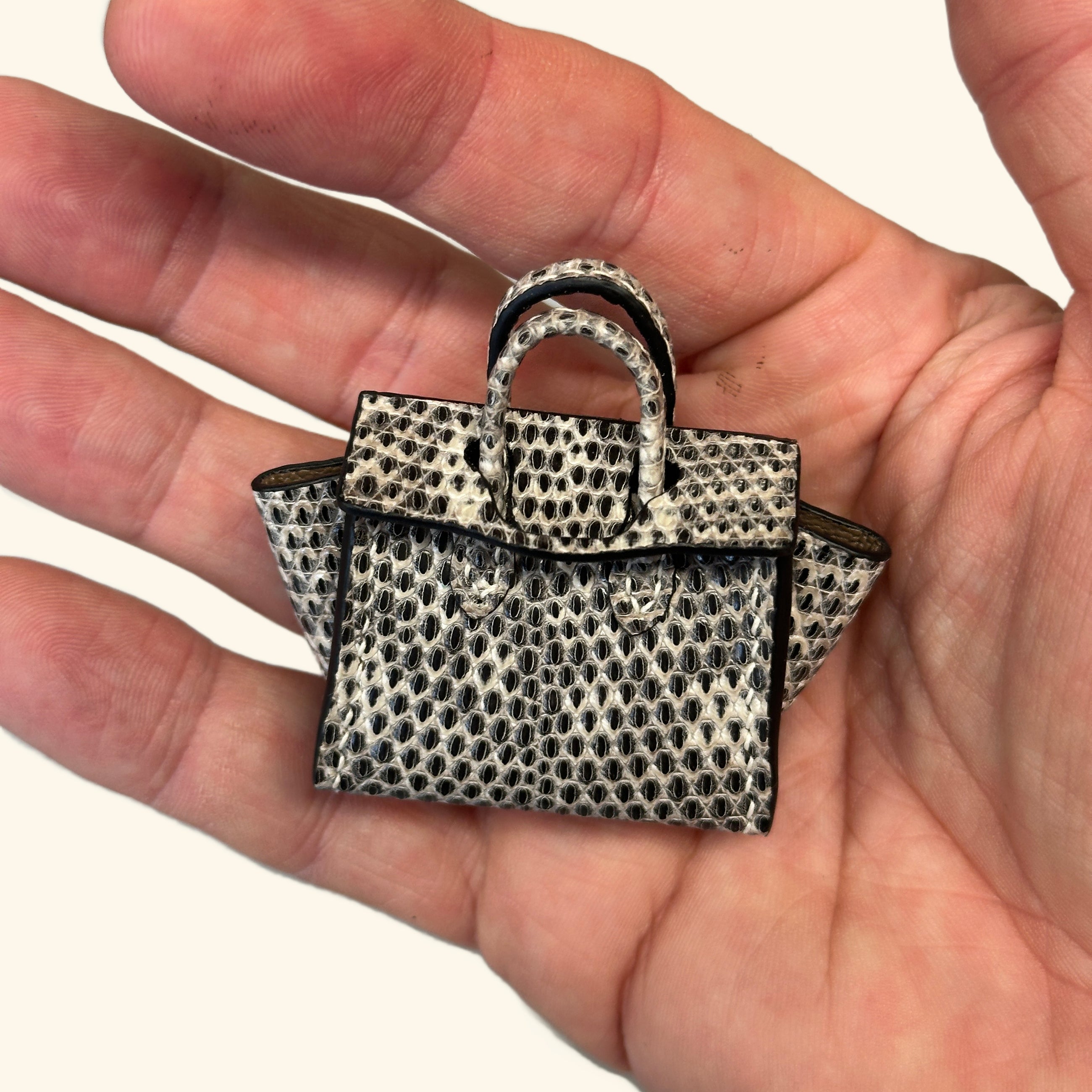 Micro Dream Bag in Ombré Lizard