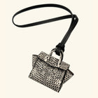 Micro Dream Bag in Ombré Lizard