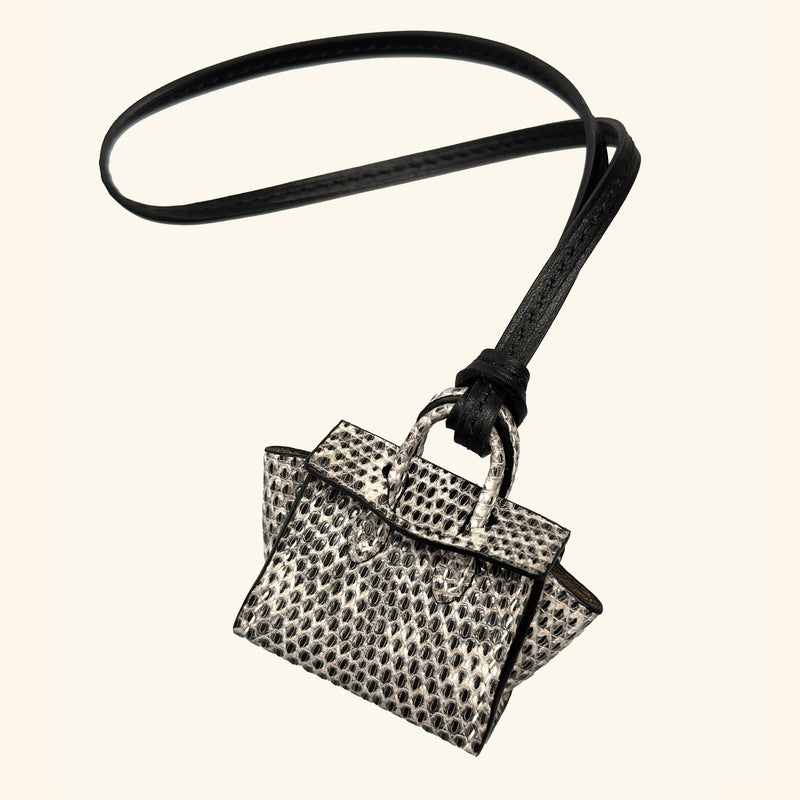 Micro Dream Bag in Ombré Lizard