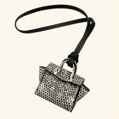 Micro Dream Bag in Ombré Lizard